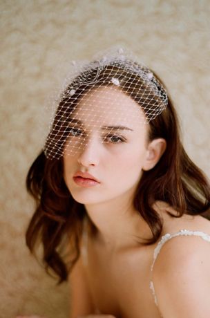 Mini Dotted Birdcage Veil David's Bridal